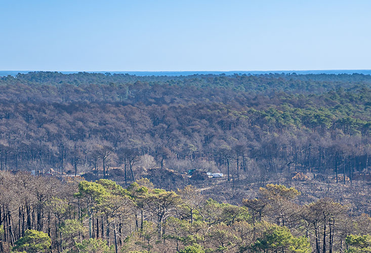 Incendies Gironde, les Landes et le Var